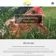 Galerie aller Refernezen RDH Websolutions.at Galerie aller Refernezen RDH Websolutions.at